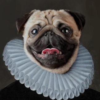 Oil painting of pug in renaissance style.