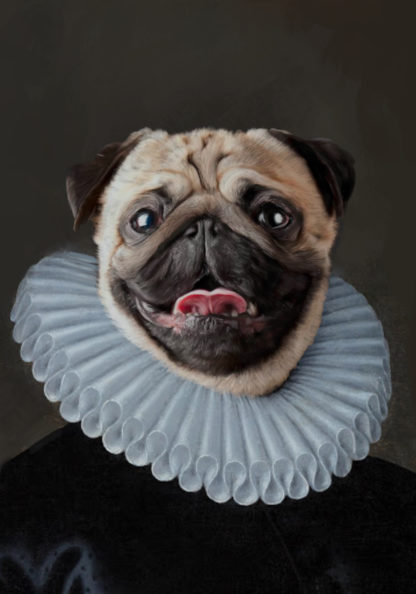 Oil painting of pug in renaissance style.